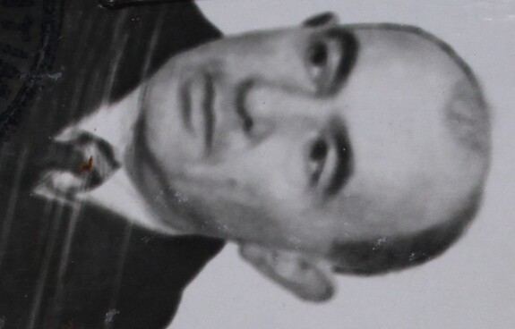 Elja Mogelovsky